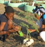 Two girls decorate a tree planter in Cite Soleil Tap Tap Garden 2