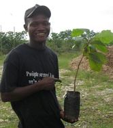 tree planting day